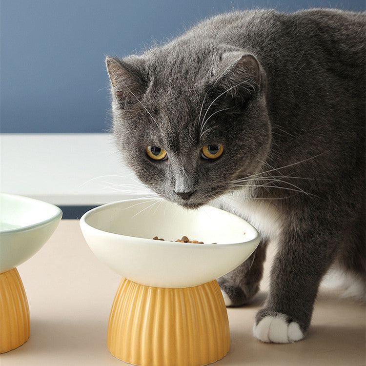 Simplistic Ceramic Cat Food Bowl