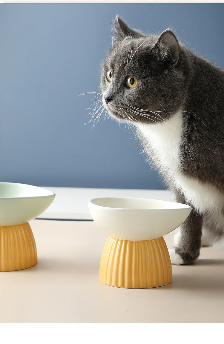 Simplistic Ceramic Cat Food Bowl