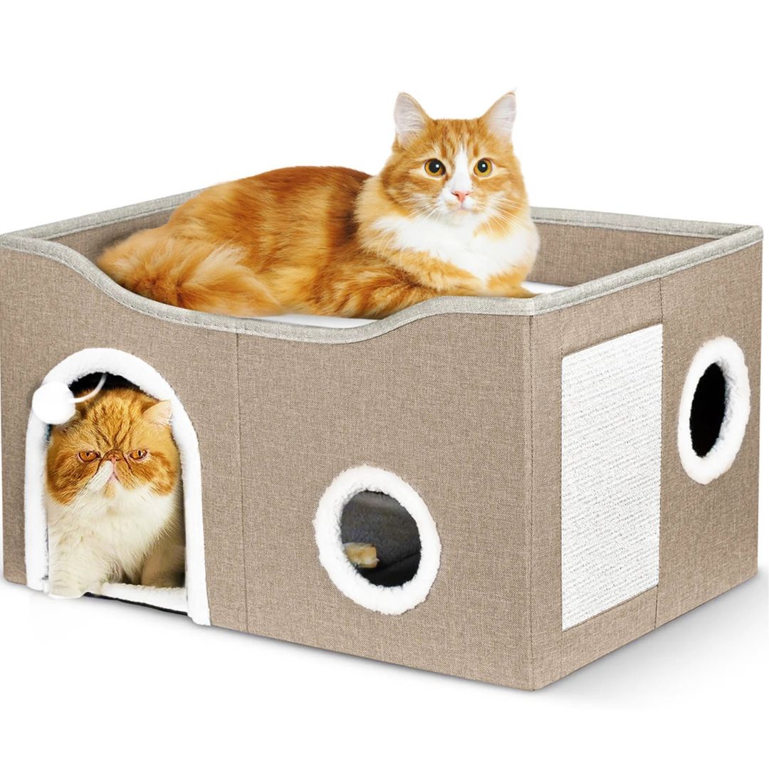 Cat Fav Mini Box Home