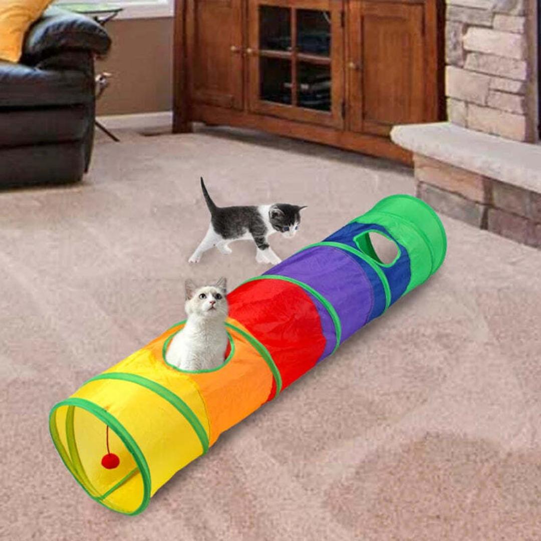 Rainbow Cat Tunnel Tube