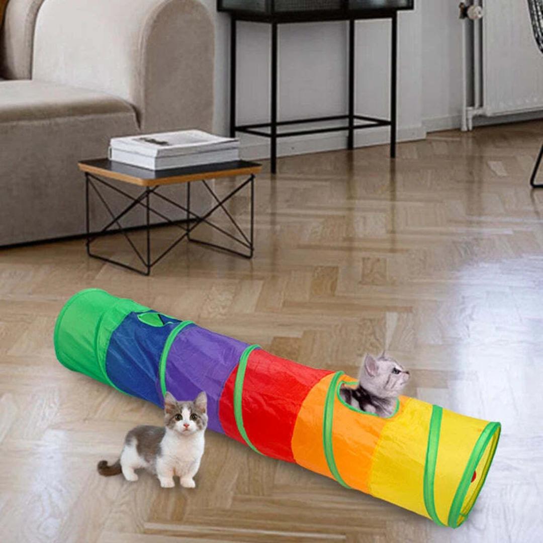 Rainbow Cat Tunnel Tube