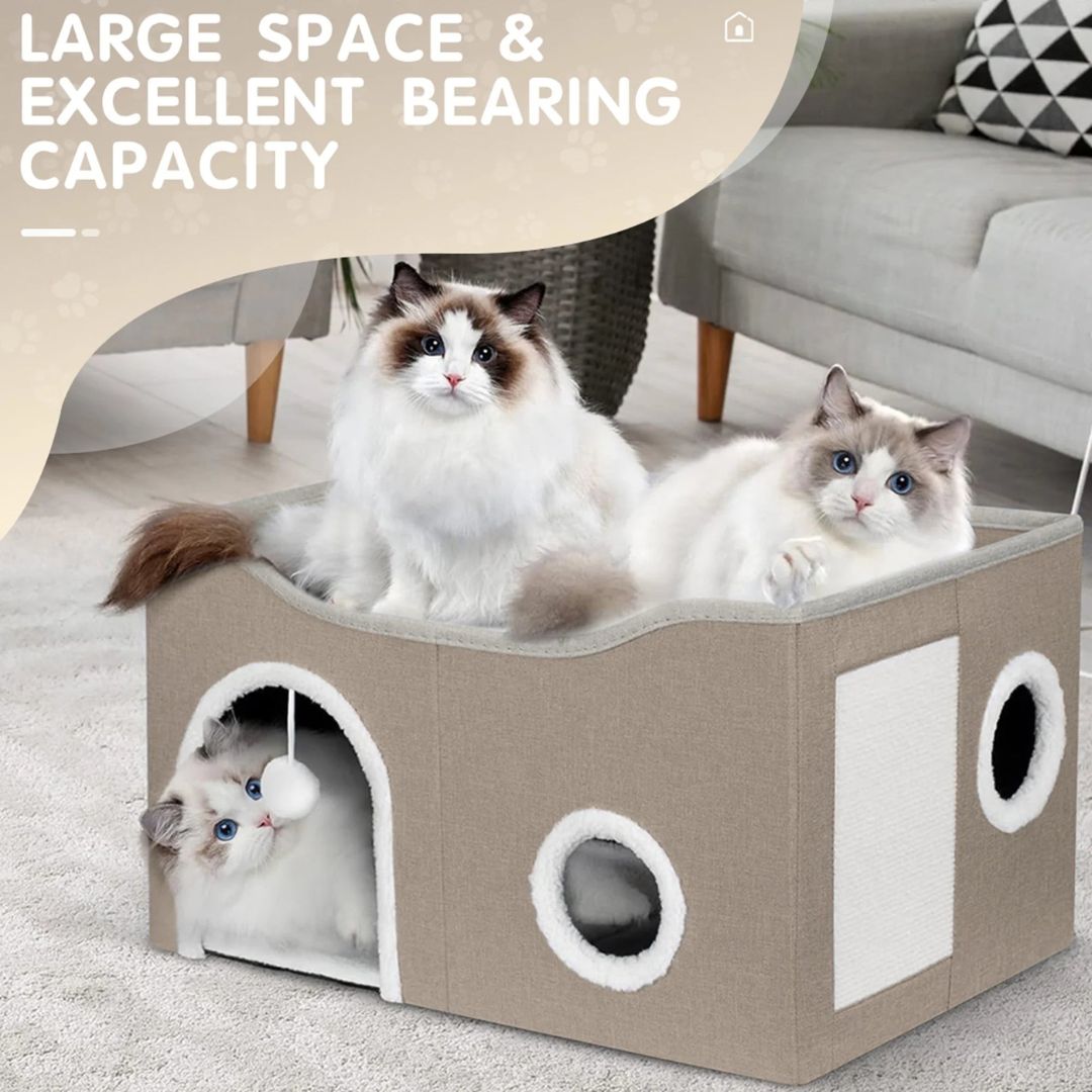 Cat Fav Mini Box Home