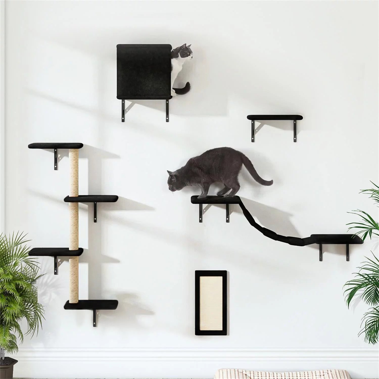 Shadow Paws Wall Art