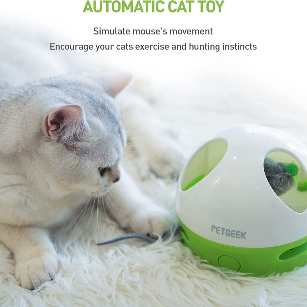 Hide & Seek Mouse Automatic Cat Toy