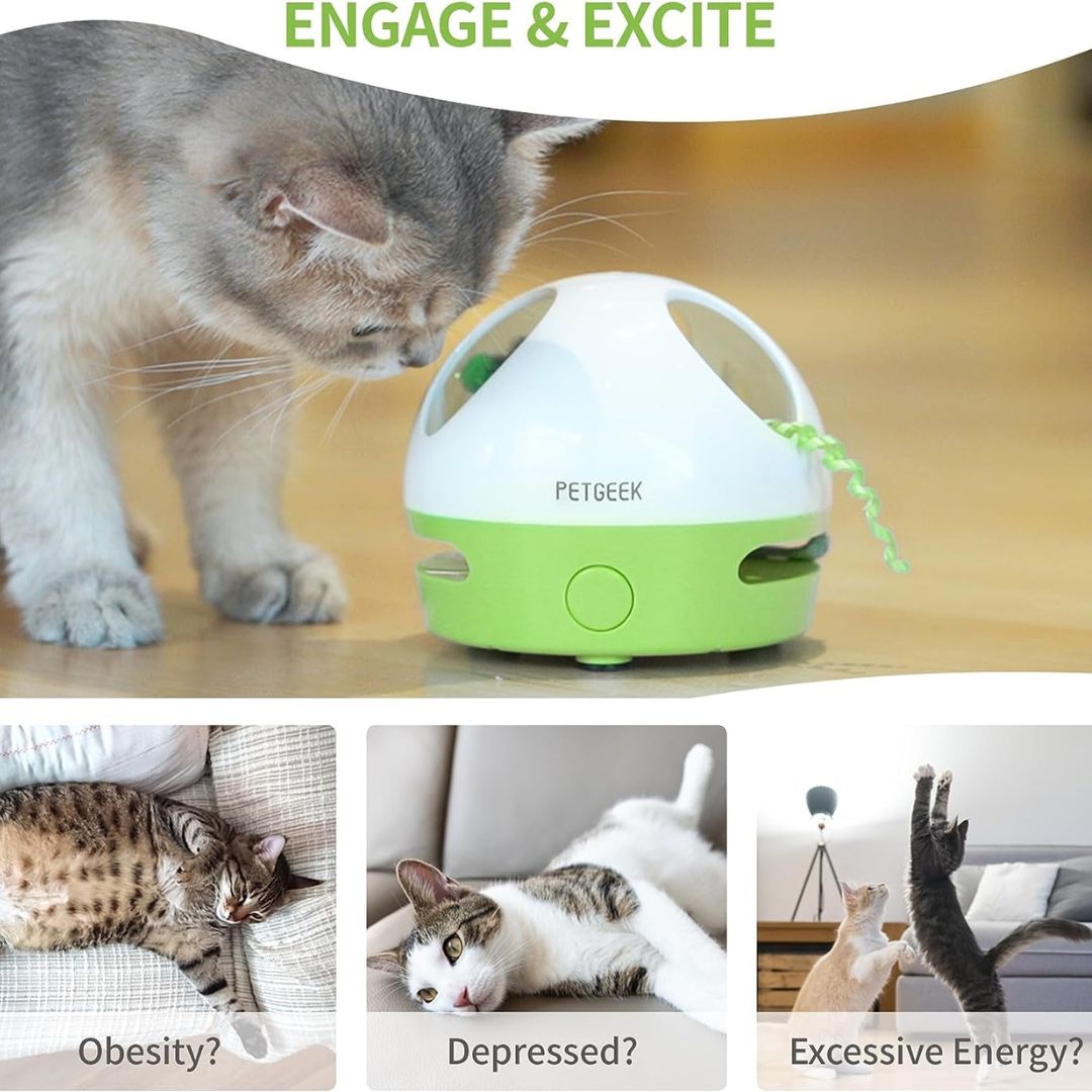 Hide & Seek Mouse Automatic Cat Toy