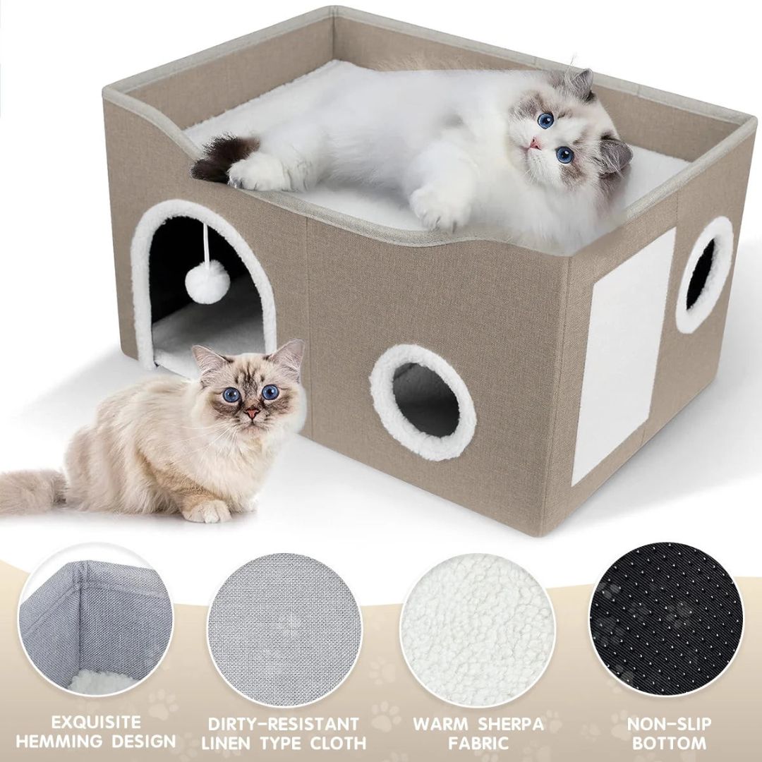 Cat Fav Mini Box Home