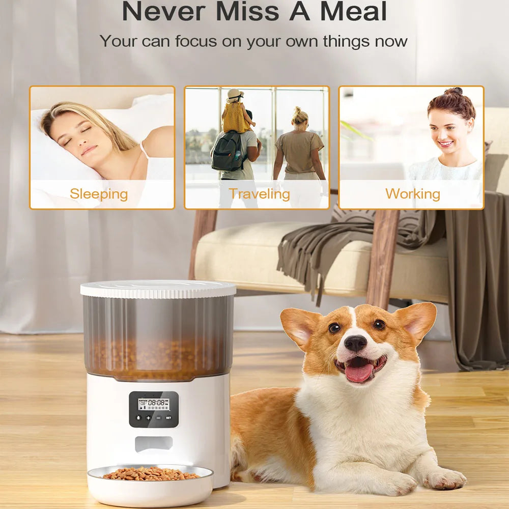 Automatic Dry food Feeder