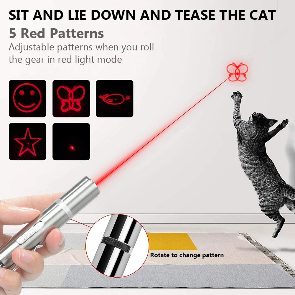 USB Rechargeable Laser Pointer