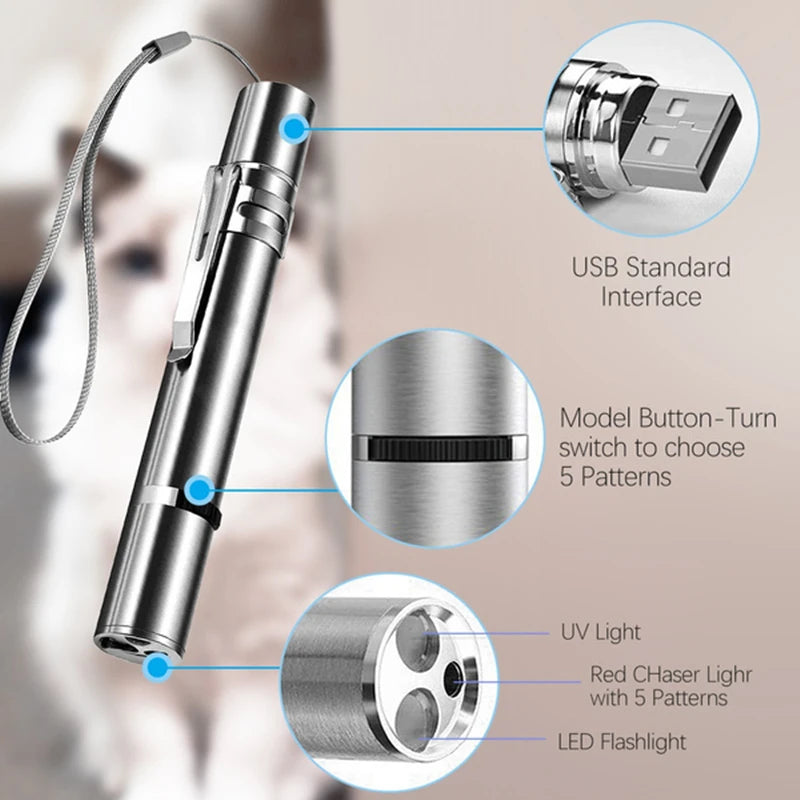 USB Rechargeable Laser Pointer