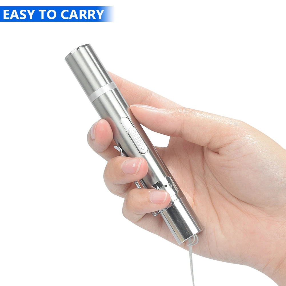 USB Rechargeable Laser Pointer