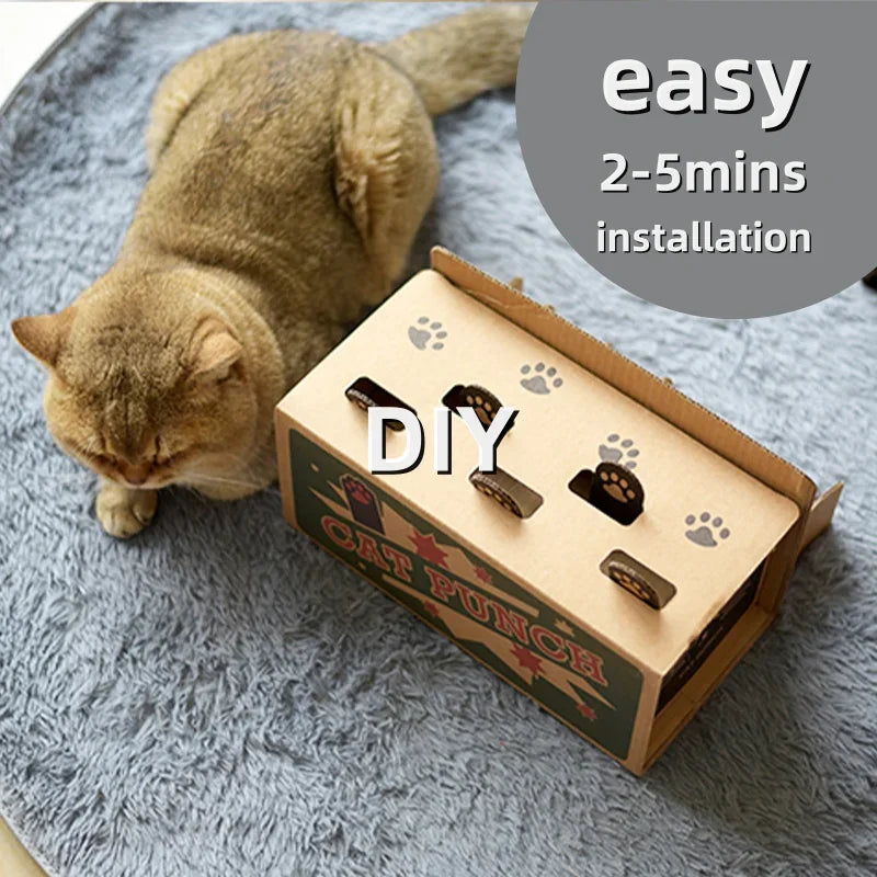 Diy cat sales play box