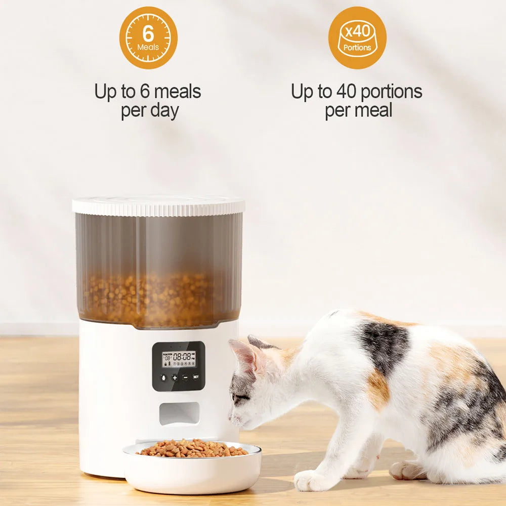 Automatic Dry food Feeder