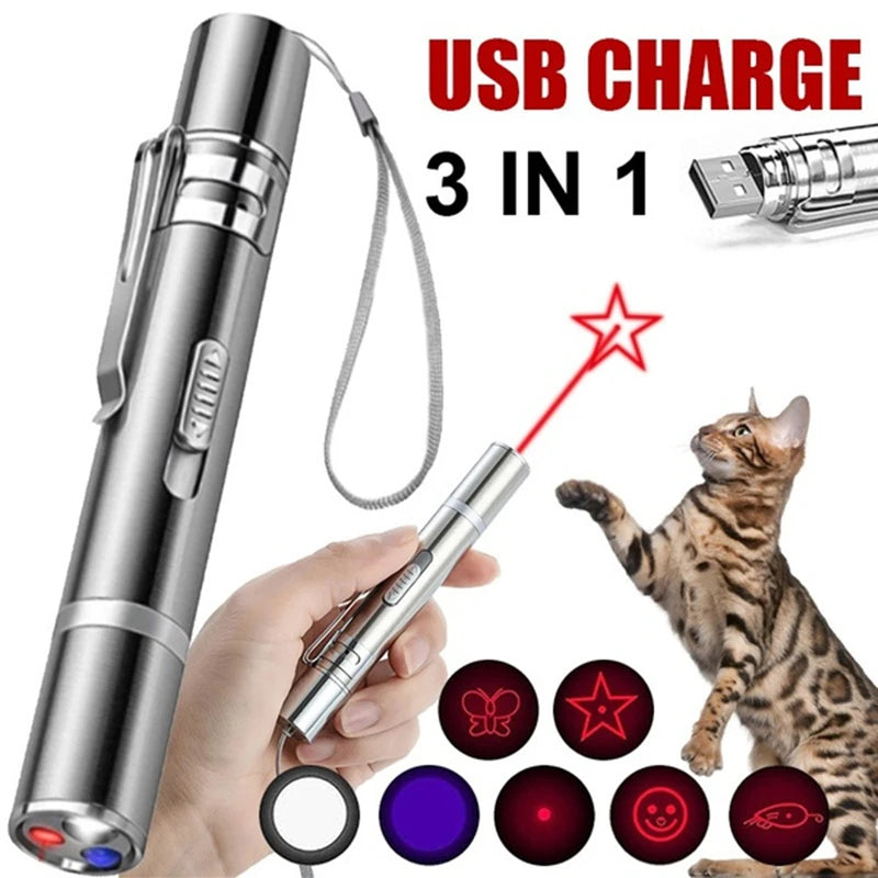 USB Rechargeable Laser Pointer