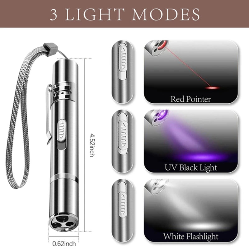 USB Rechargeable Laser Pointer