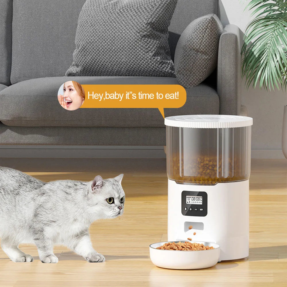 Automatic Dry food Feeder