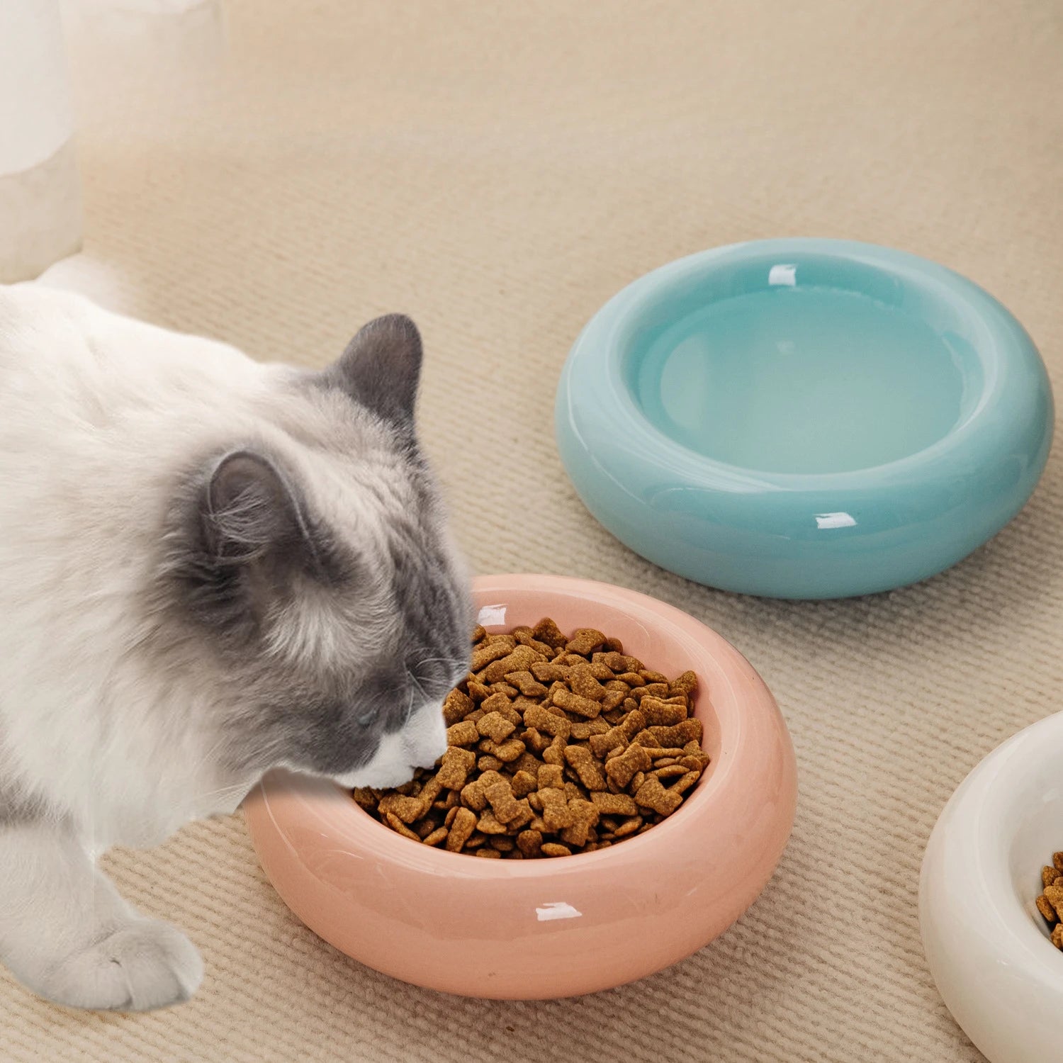 Round Ceramic Food Bowl for Cats